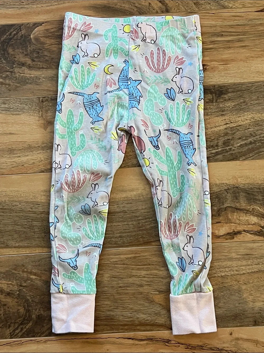 Western Desert Pajama Set Armadillo Bunny Cactus Organic Honest Baby Girls 3T